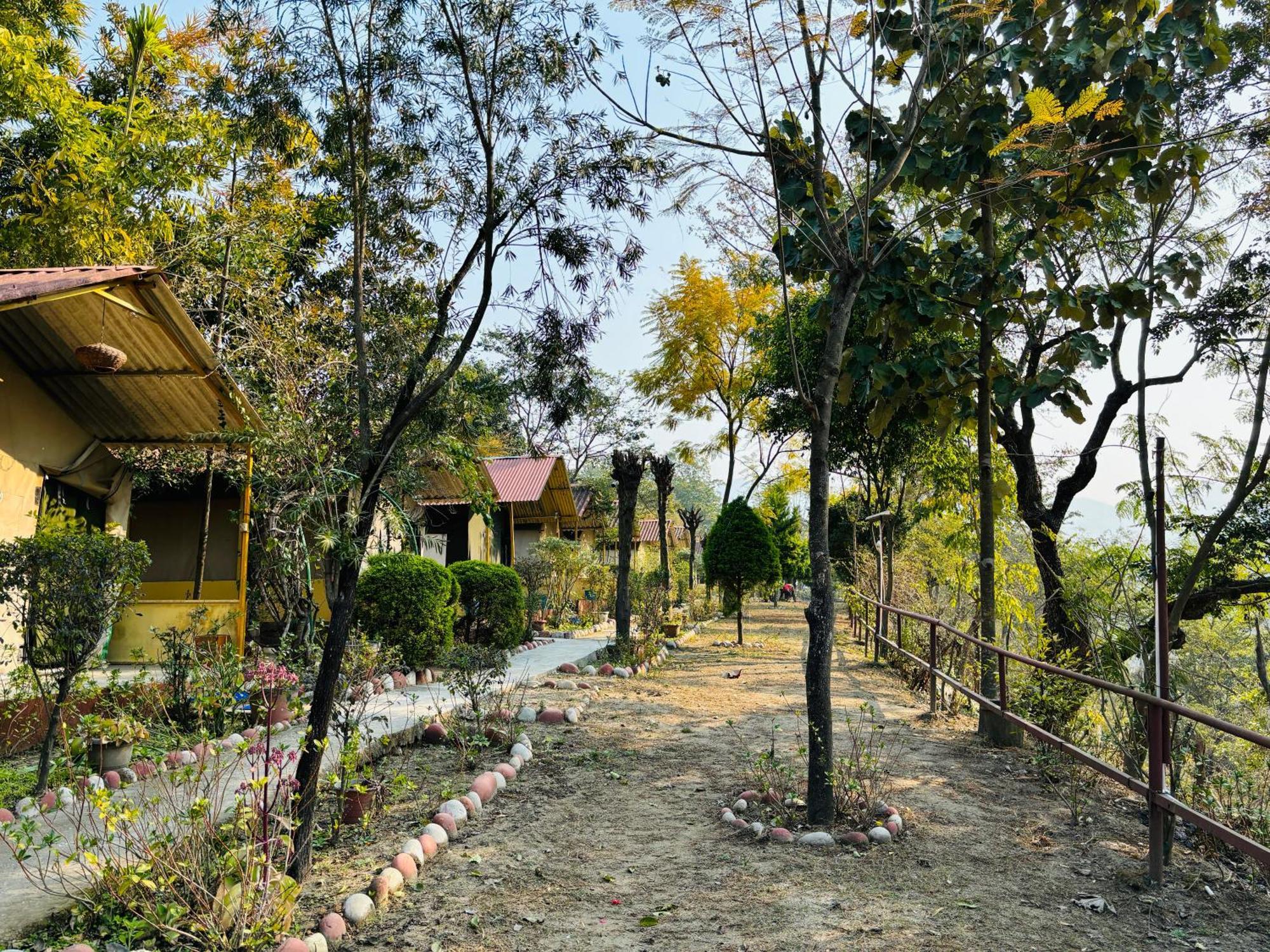 Camp High 5 Jayalgarh Hotel Dangchura ภายนอก รูปภาพ